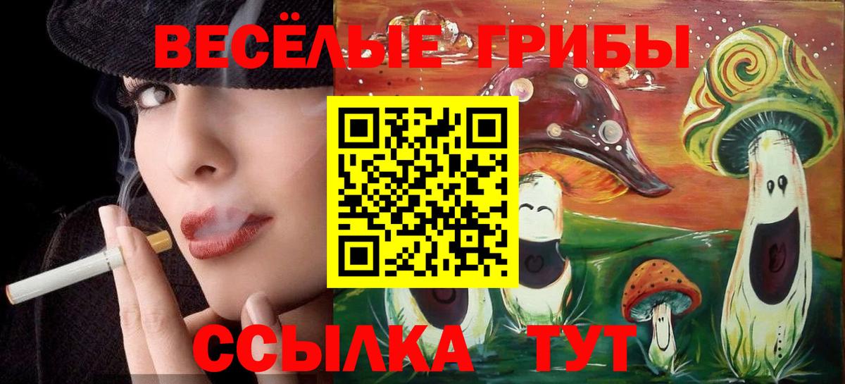 Галлюциногенные грибы Psilocybe  закладка  Нижнекамск  Вход с VPN 