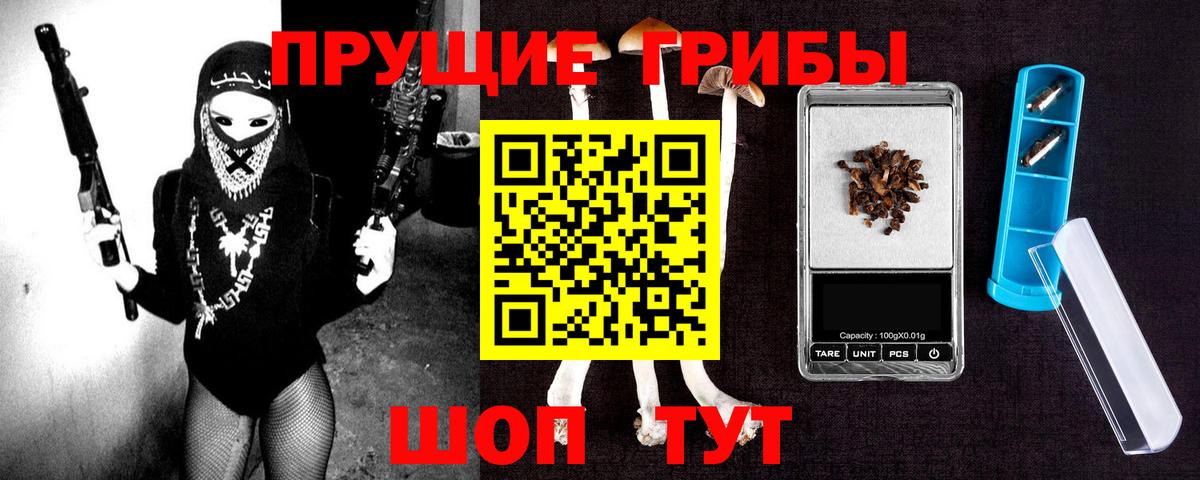 Псилоцибиновые грибы мицелий Нижнекамск